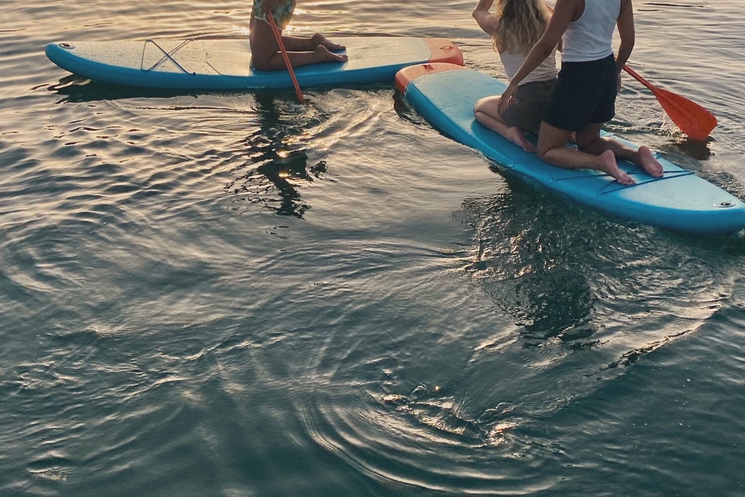 I love Torrevieja Boat Tours