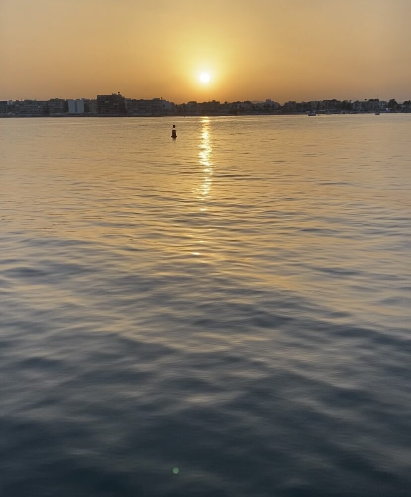I love Torrevieja Boat Tours