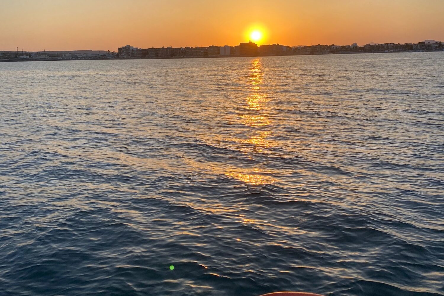 I love Torrevieja Boat Tours