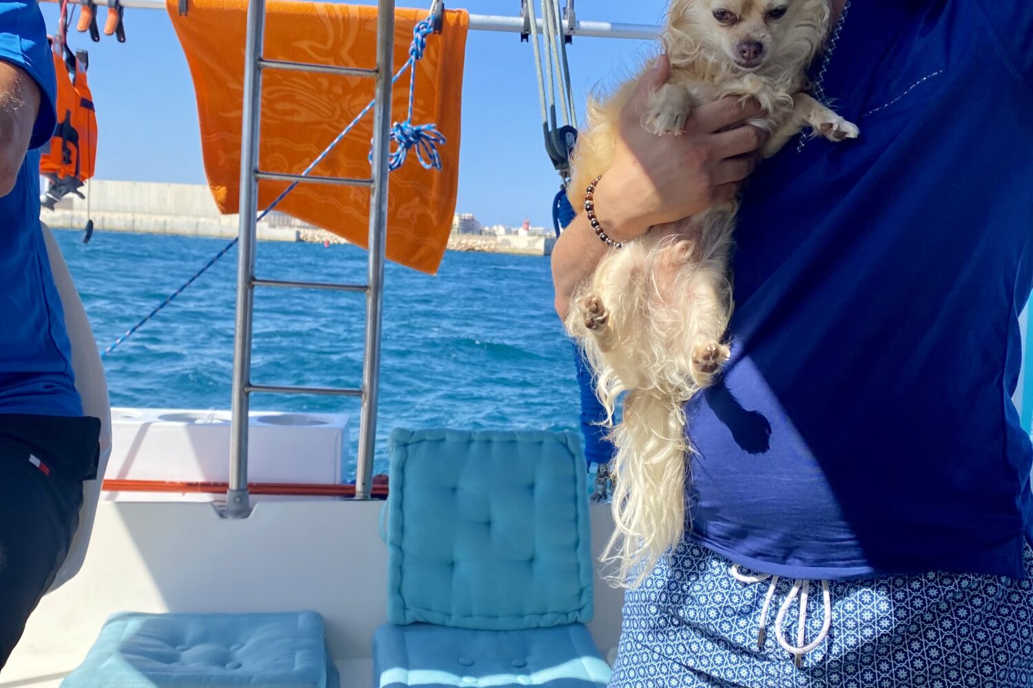 I love Torrevieja Boat Tours