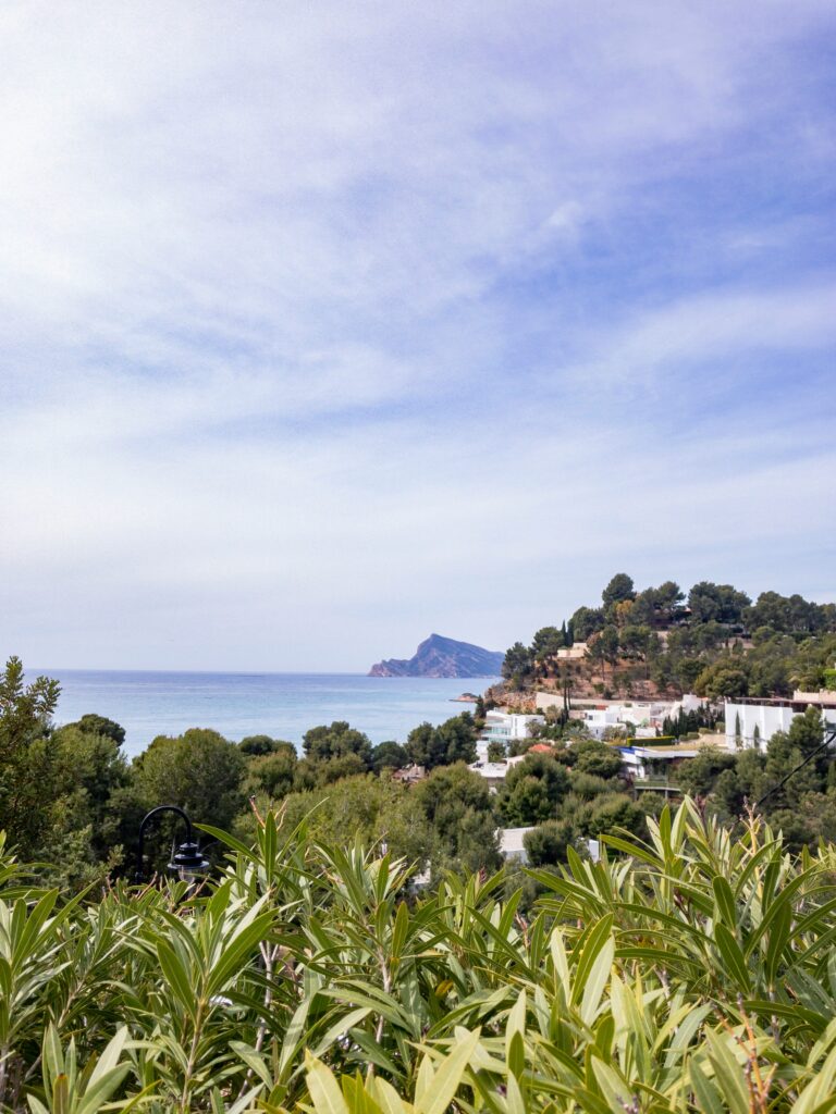 I love Torrevieja Altea