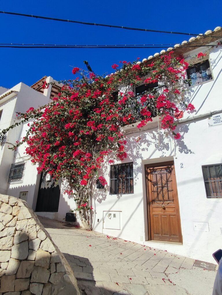 I love Torrevieja Altea