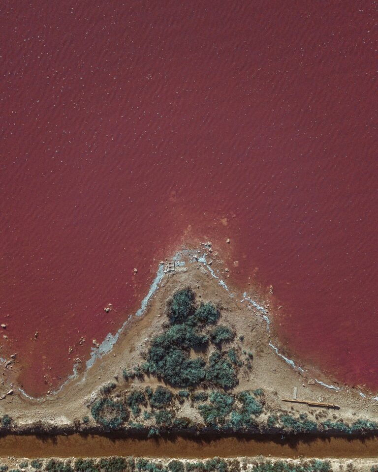 Torrevieja